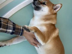 -怪兽屋·羊驼·猫咖·狗咖(俊华广场店)