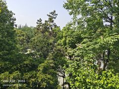 -汇龙潭