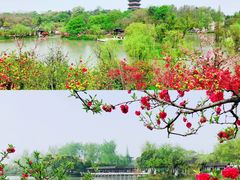 -个园