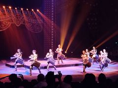 -珠海横琴长隆《卡卡虎奇遇记》