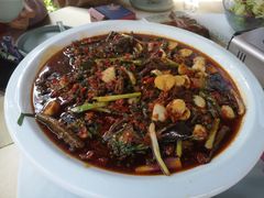 -院8里·小聚园老川菜(九眼桥店)