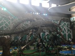 -诸城市恐龙博物馆