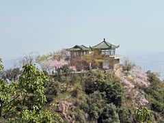 -莫干山风景区