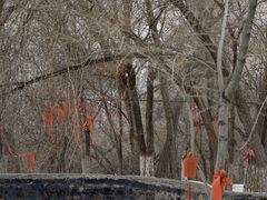 -水磨沟公园