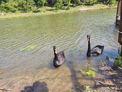 -江苏三台山国家森林公园