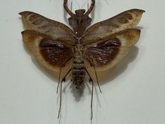 -烟台市博物馆