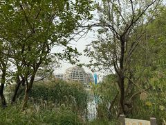 -海天湖公园