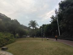 -金鸡山公园