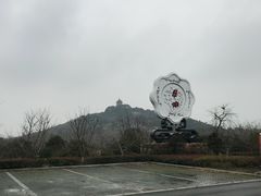 -林屋梅海青梅保护基地