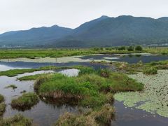 -腾冲北海湿地