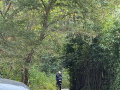 -青龙山国家森林公园