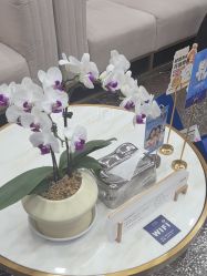 -上海首尔丽格医疗美容医院