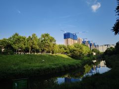 -黛秀湖公园