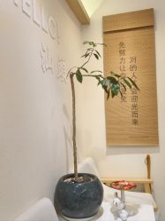 -可樱汇·美容洗发SPA