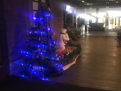 -芙蓉堂(武汉天地店)