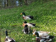 -证大喜玛拉雅中心