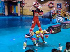 -烟台海昌鲸鲨海洋公园