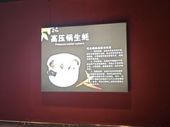 -醉炫音速烧烤·干煸菜(沙河总店)