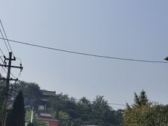 -龙门李家三旦羊肉汤馆