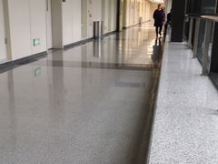 -首都医科大学附属北京天坛医院