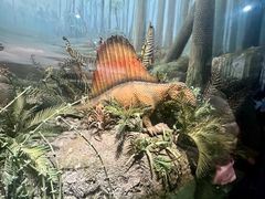 -浙江自然博物院(杭州馆)