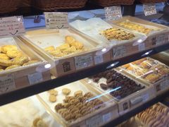 -光明牛奶棚(南泉店)