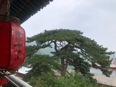 -妙峰山风景名胜区