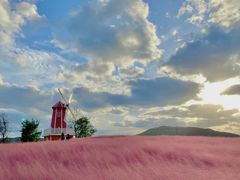 -羊亭河湿地公园