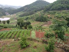-磐安舞龙峡景区