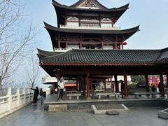 -杜甫江阁