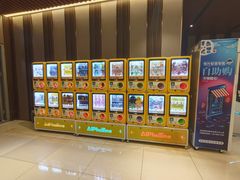 -华美国际影城(旧宫永辉店)