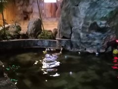 -金隅凤山酒店