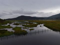 -腾冲北海湿地