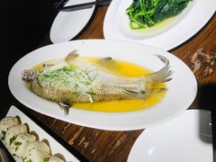 -金枝玉叶上海人家食府(三里河店)