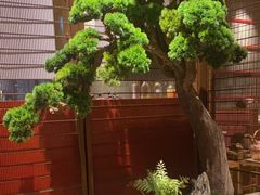 -牛村来人潮汕牛肉火锅(西单店)