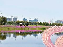 -洋湖国家湿地公园