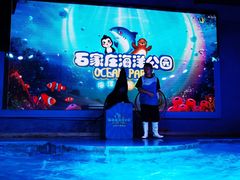 -石家庄海洋公园