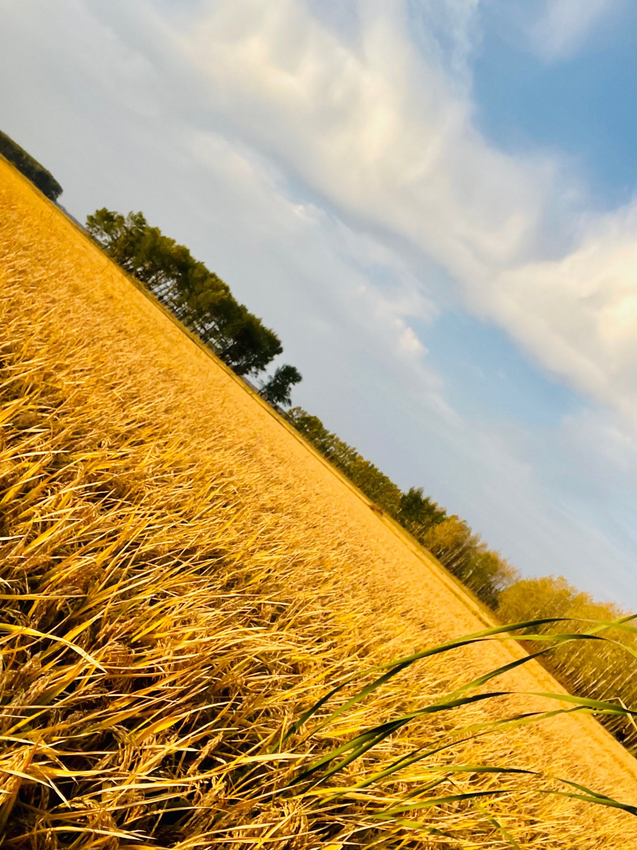 长春周边游-太平池水库