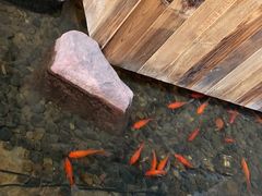 -老李家土菜馆·安吉地标美食