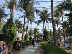 -白沙湾海滩