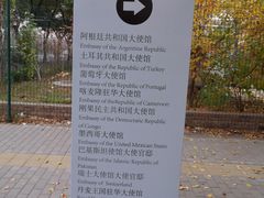 -三里屯东五街银杏大道