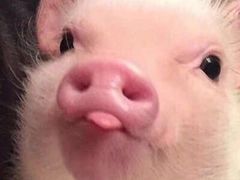 -宁波杉井奥特莱斯广场