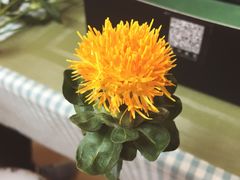 -森野花艺培训·企业团建活动沙龙