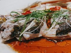 -丹江渔村(首都机场店)