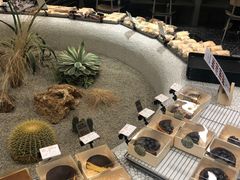 -OUR Bakery(SKP-S店)