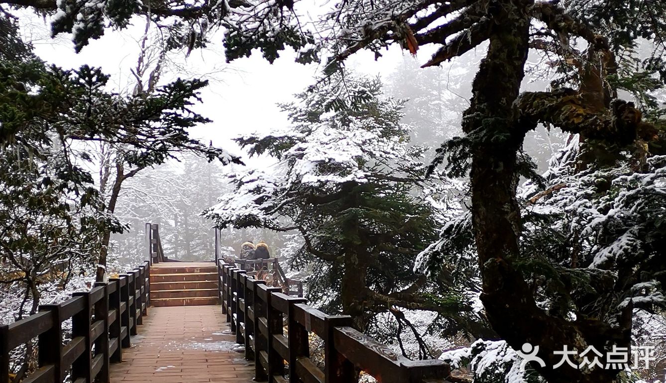 木格措雪景图片