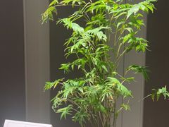 -无味舒食(思南公馆店)