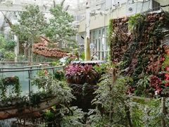 -正佳雨林生态植物园