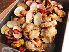 大盘花蛤-新发现(苏州中心商场店)