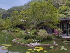 -云溪植物园